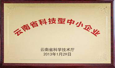 云南省科技型中小企业
