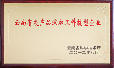 云南农产品深加工科技型企业