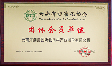 云南省标准化协会-团体会员单位