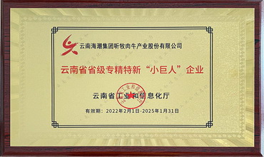 云南省省级专精特新“小巨人”企业