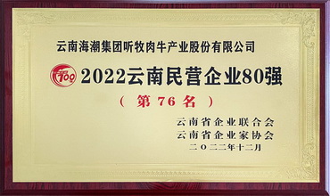 2022年云南民营企业80强
