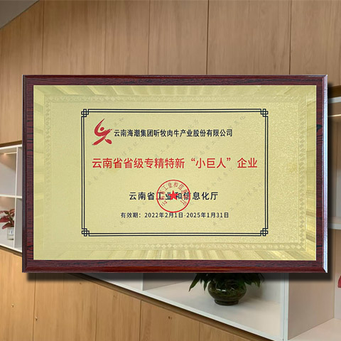 公司获得了云南省省级“专精特新小巨人”企业认证