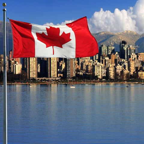 为加强肉牛产业国际交流合作，推动肉牛产业科技创新和产品升级，近日，第三届全国肉牛生产应用技术与产业经...