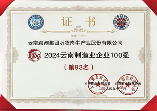2024年云南省制造业百强