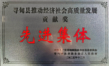 寻甸县2025年高质量发展贡献奖