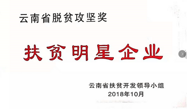 云南省扶贫明星企业
