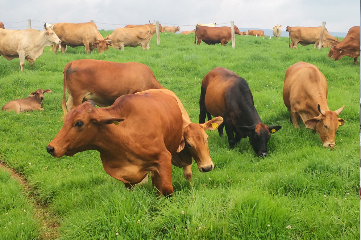 所有产品都能通过追溯系统查看来源，确保消费者的安全和信任。